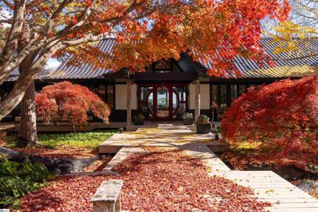 110 Huckleberry Ridge