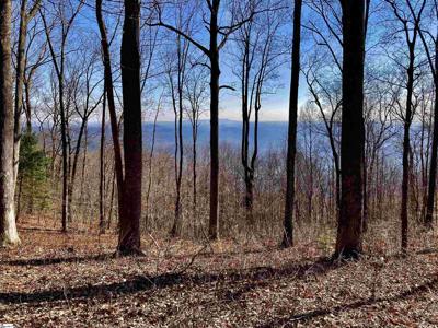 1000 Mountain Summit Road
