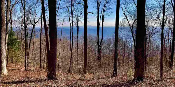1000 Mountain Summit Road