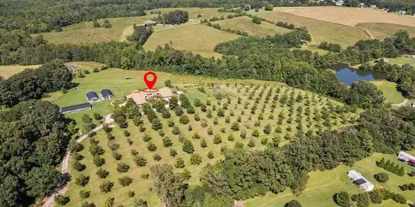 162 Riggins Bridge Road