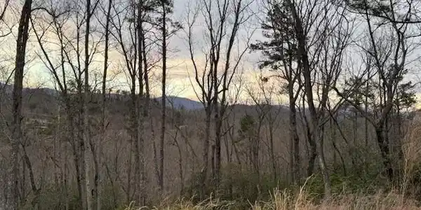 40 Secret Hollow Trail