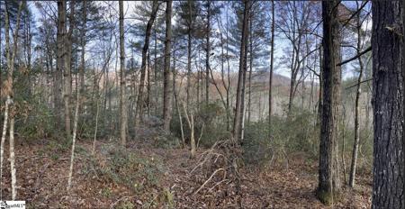 0000 Gap Creek Road