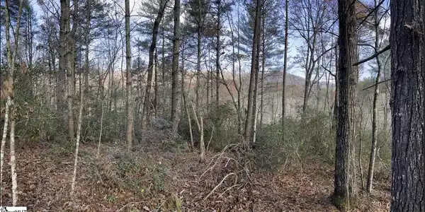 0000 Gap Creek Road