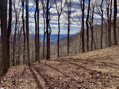 1347 Panther Park Trail