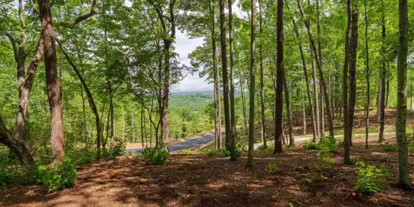 167 Cherokee Rose Trail