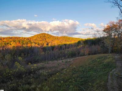 17 Trammell Mountain Trail