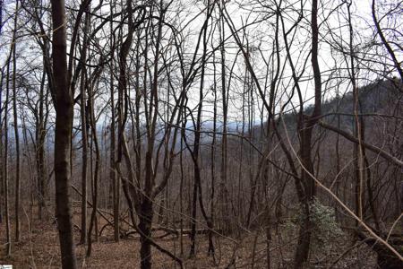 1195 Plumley Summit Road