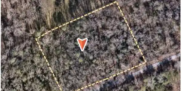 Image 3: Lines are approximate