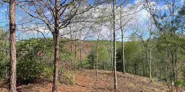 775 Blue Bonnet Trail