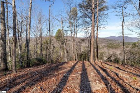 198 Wood Violet Trail