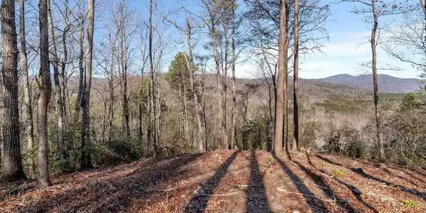 198 Wood Violet Trail