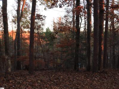 122 Summit Pine Drive