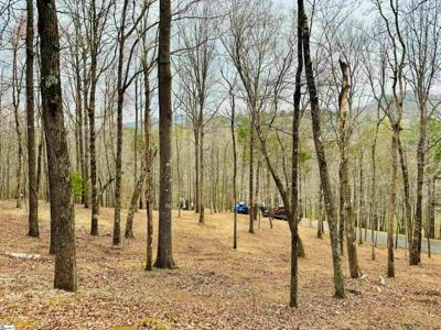 101 Crystal Brook Trail