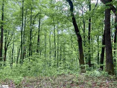 1334 Panther Park Trail