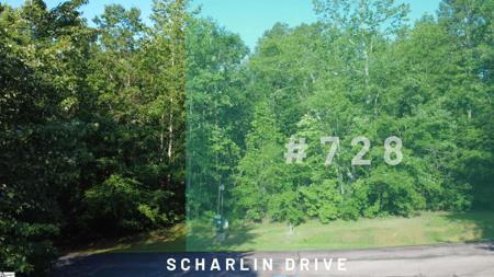 728 Scharlin Drive