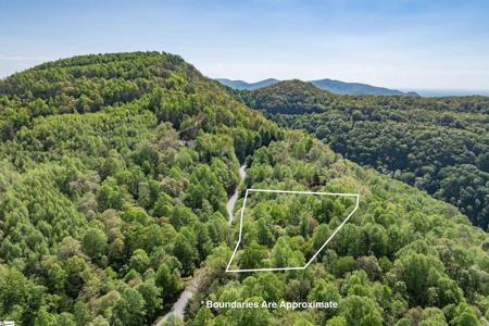 00 Mountain Summit Road