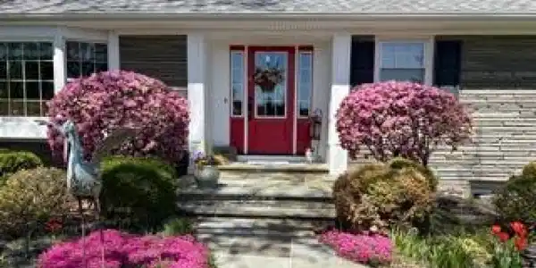 225 Pleasant Hill Rd