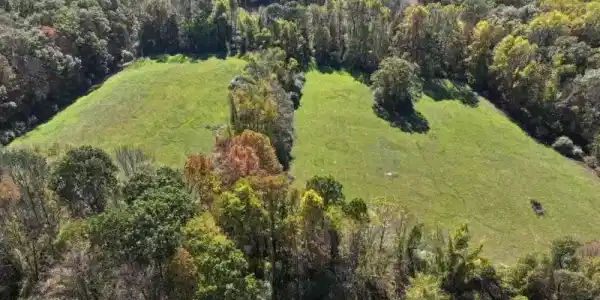 25 Mudcut Rd