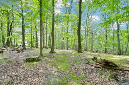 51 Paulinskill Lake Rd