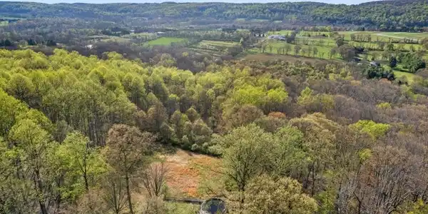 81 Turtleback Road