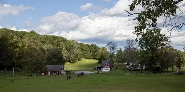 70 Goodale Rd (118 acres)