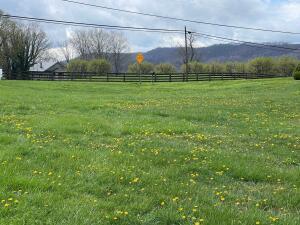 Blue Sulphur Pike Rt. 33