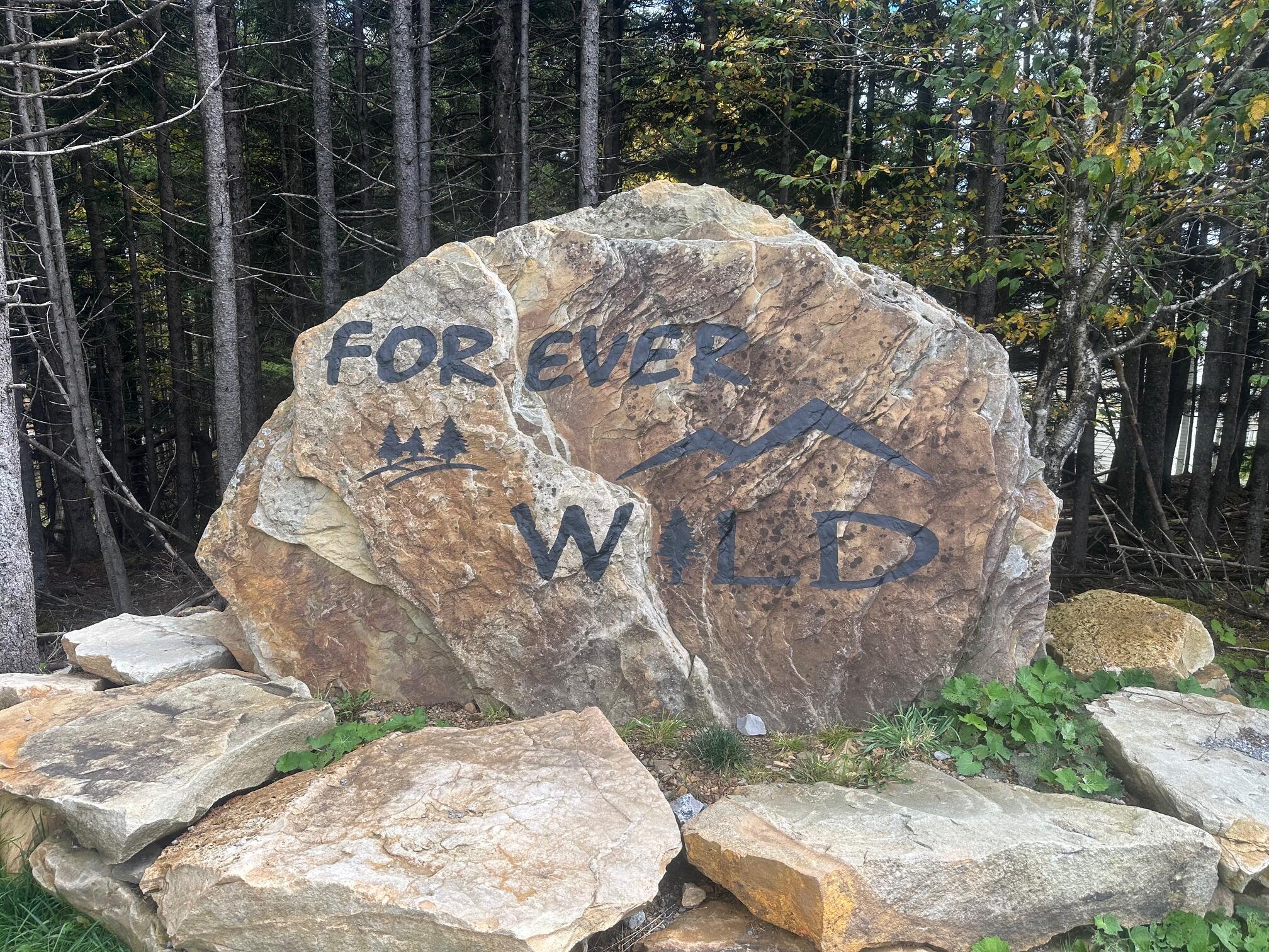 Image 2: Forever Wild 2