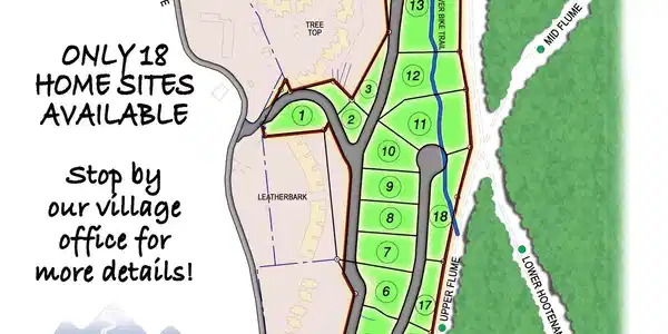 Image 3: Forever Wild Site Plan_Final
