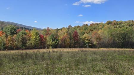 Route 15 5 Acre Ralston Run