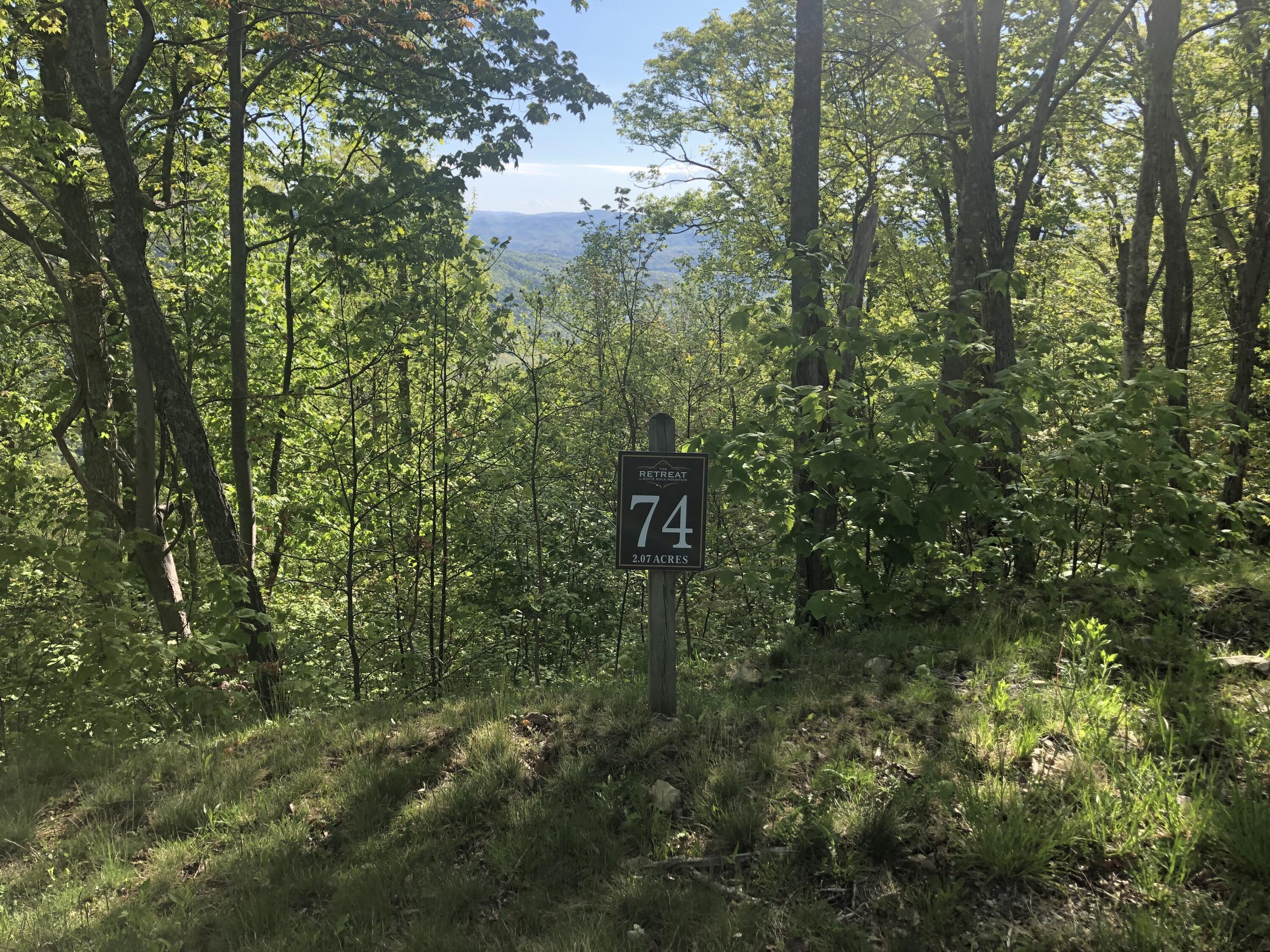 Image 2: IMG_4517