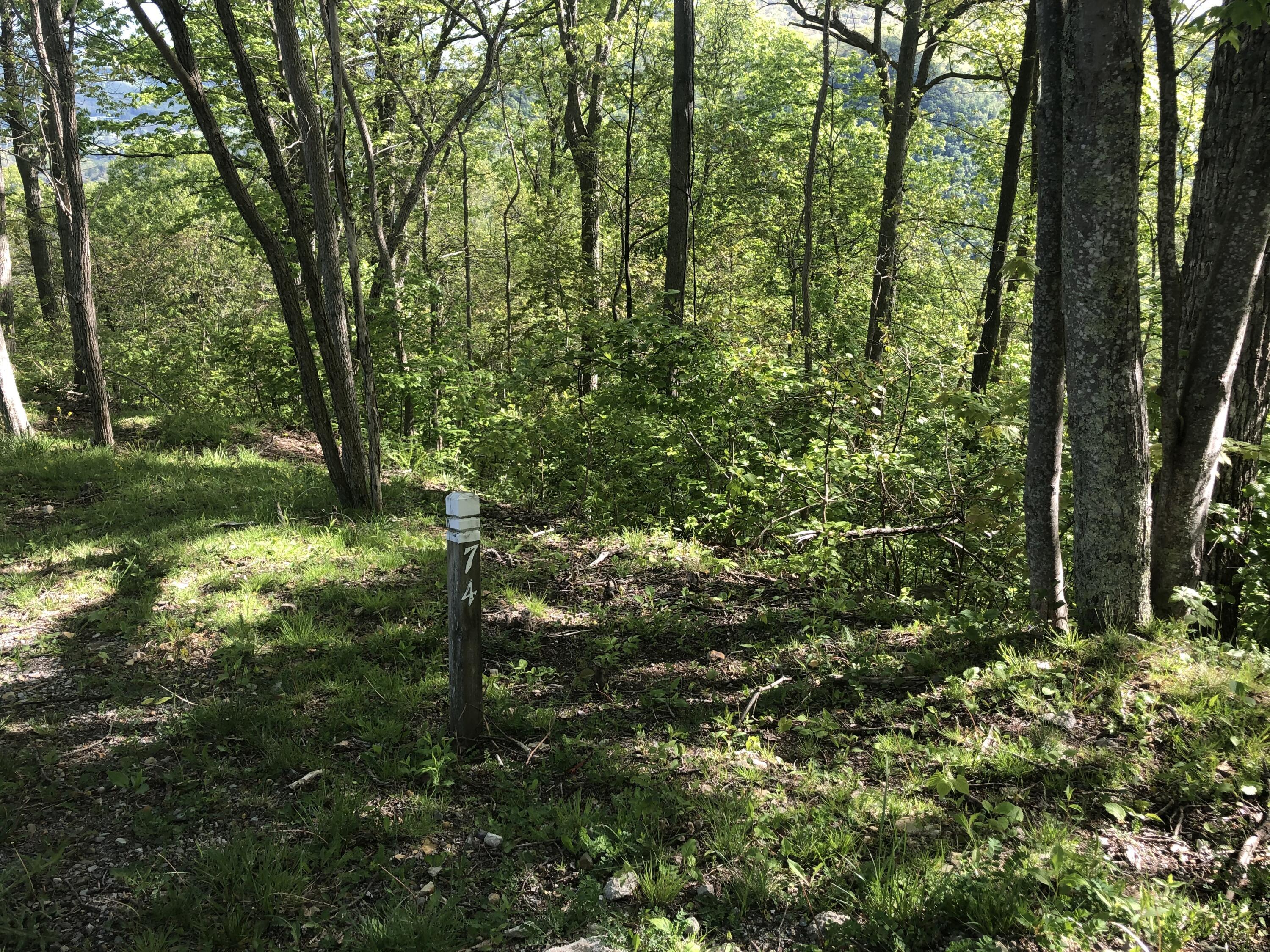 Image 3: IMG_4518