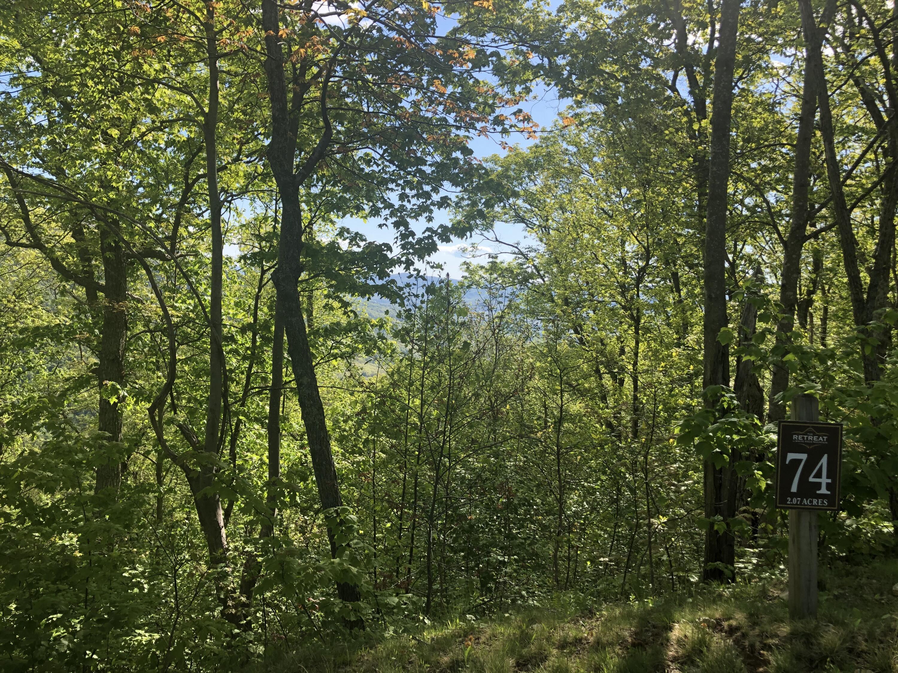 Image 4: IMG_4519