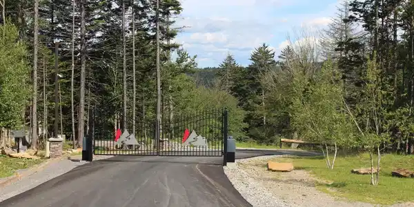 246 Red Spruce Dr.