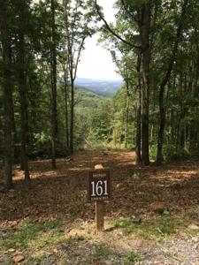 Lot 161 Falls Parkway & Cottage Row
