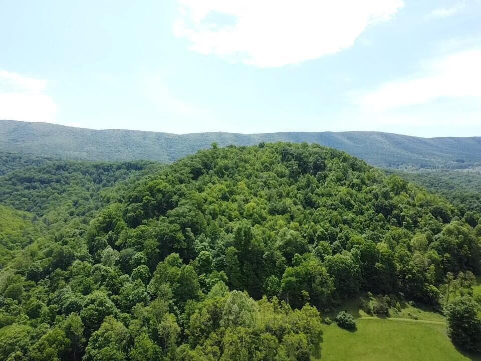 Image 3: thumbnail_2025-05-20-12-17-51-616