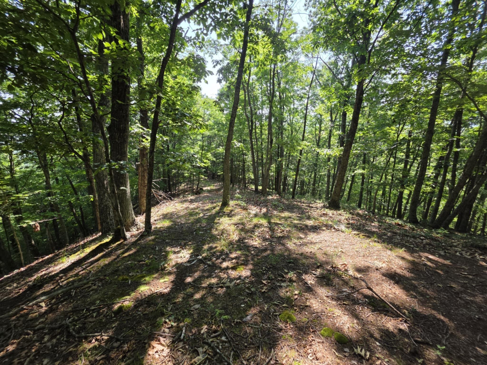 Image 4: att.-j9zaf7e2Od5_nAMvZwdm_oC9YlcvZvqMbMH