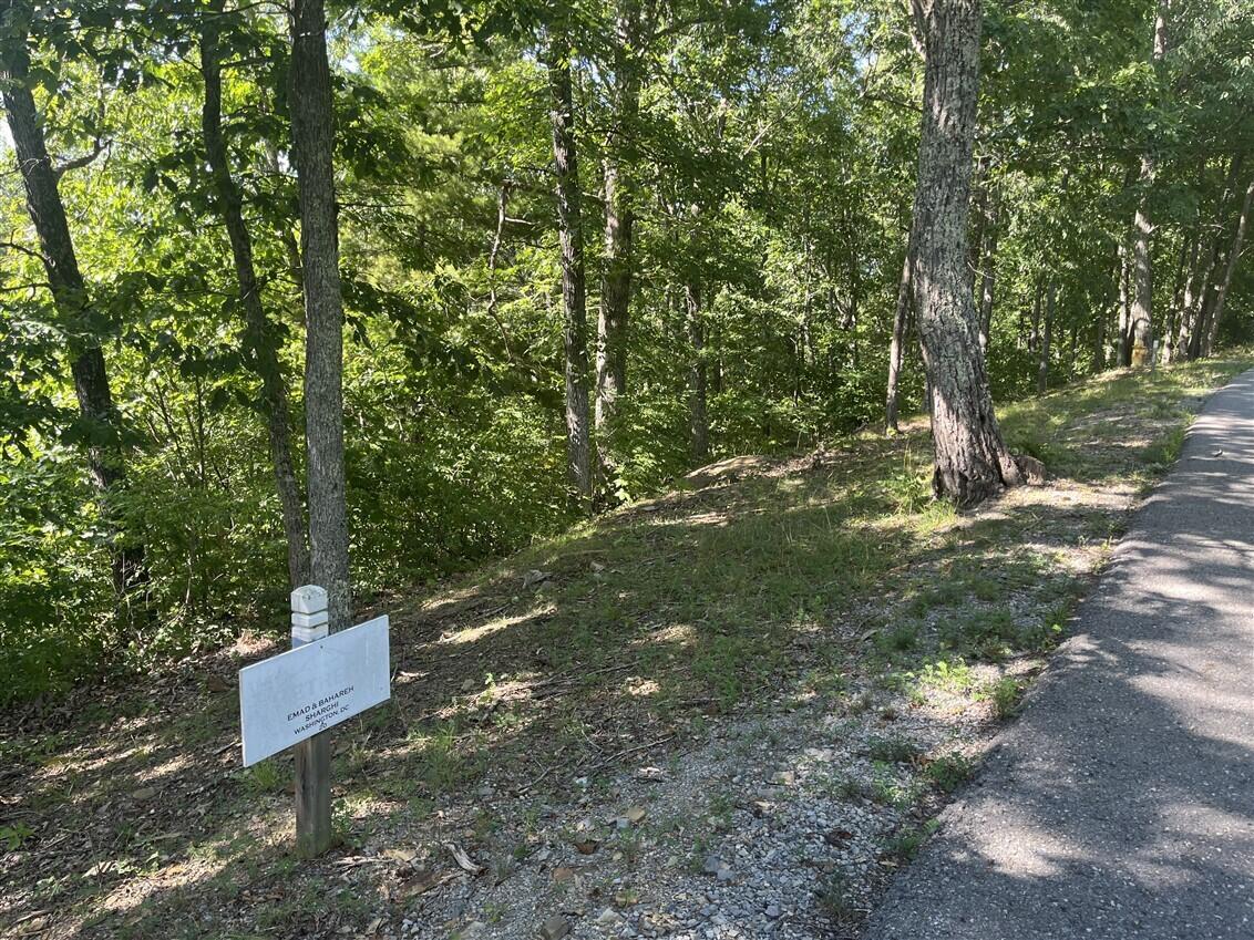 Image 1: lot 20