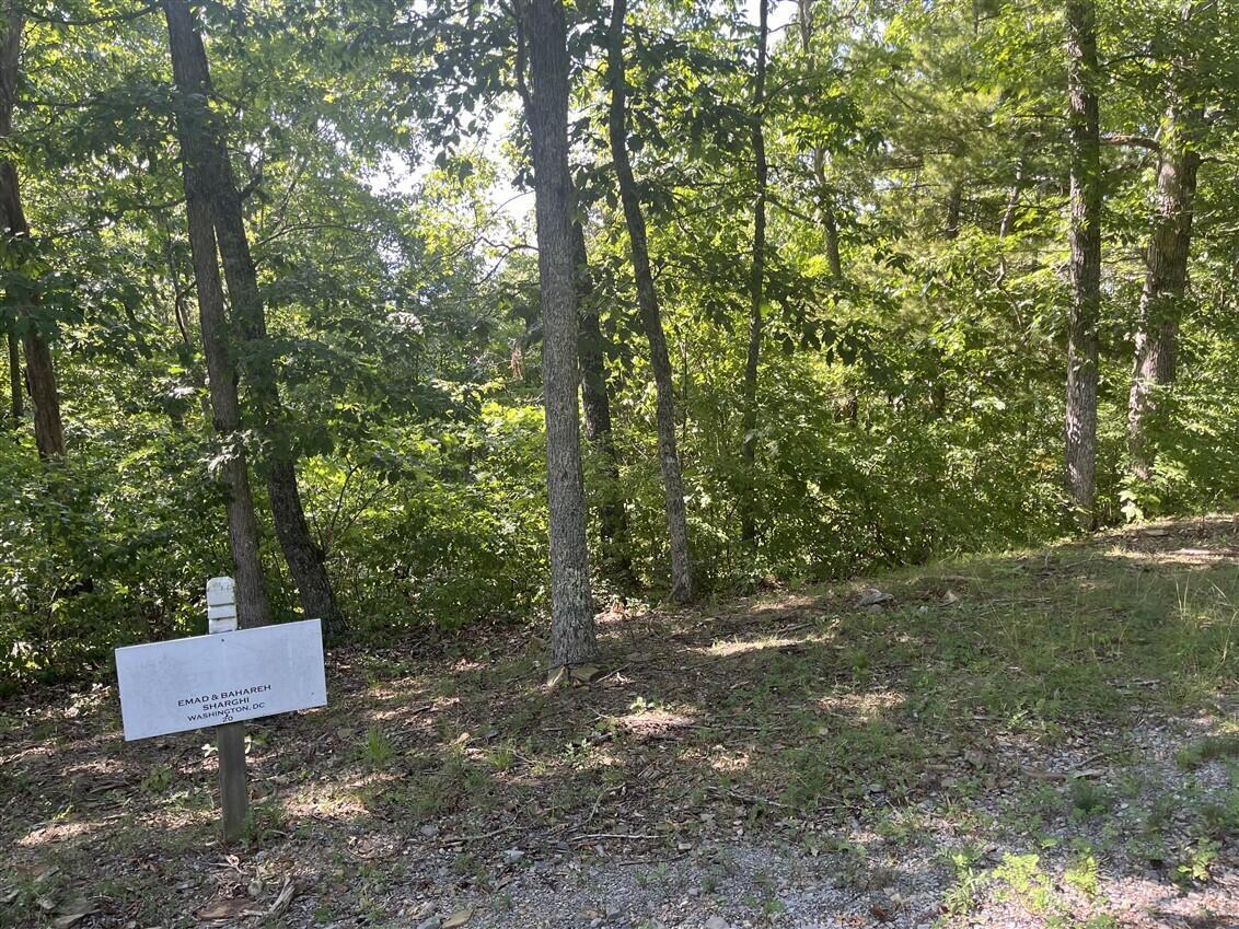 Image 2: lot 20