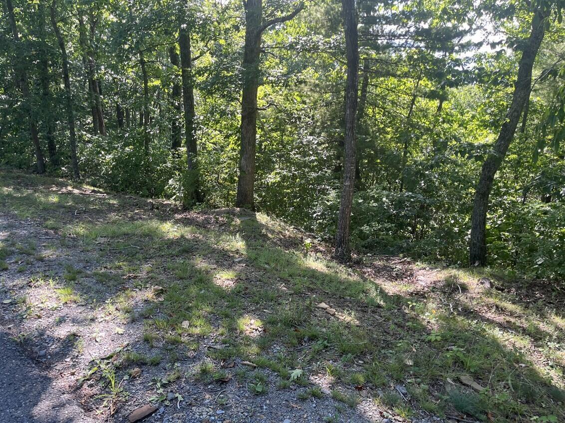 Image 3: lot 20
