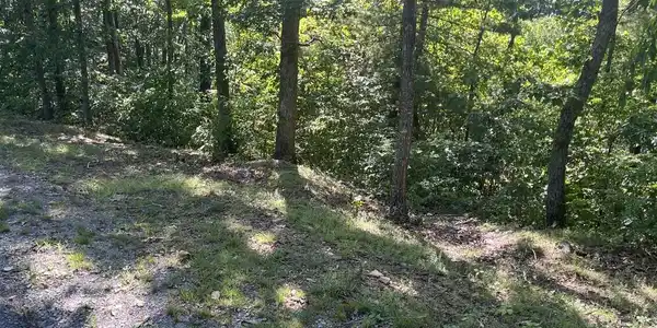 Image 3: lot 20