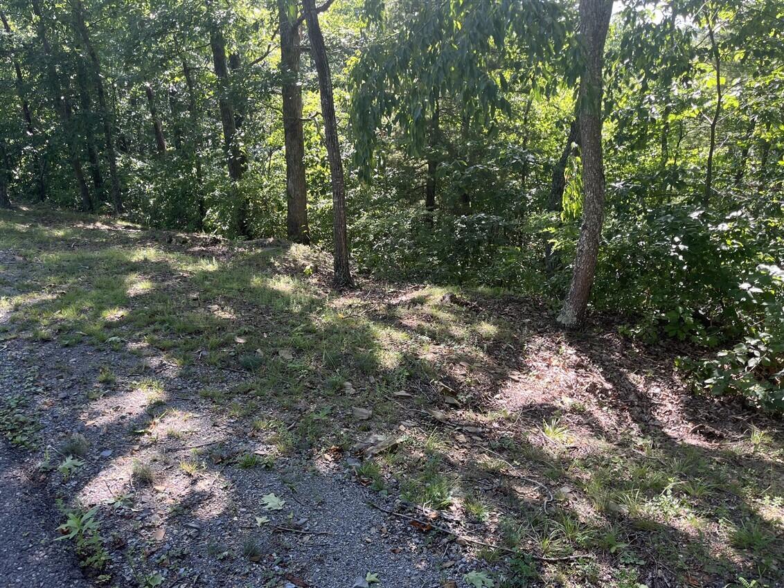 Image 4: lot 20