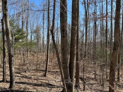 362 Band Of Hop Rd  Tract 2