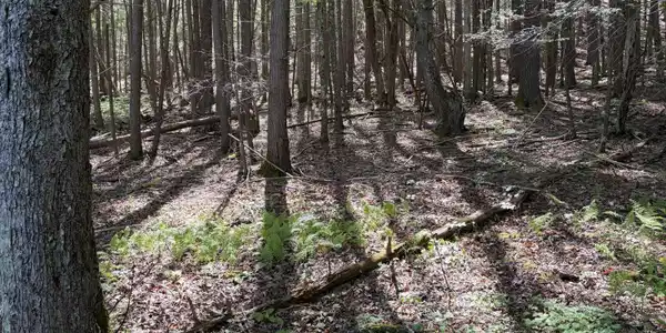 Image 2: Pocahontas Trail
