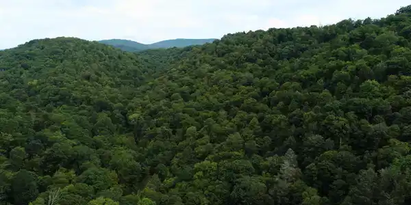 Image 4: DJI_0070_Edited