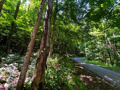Tbd Leonard Long Rd