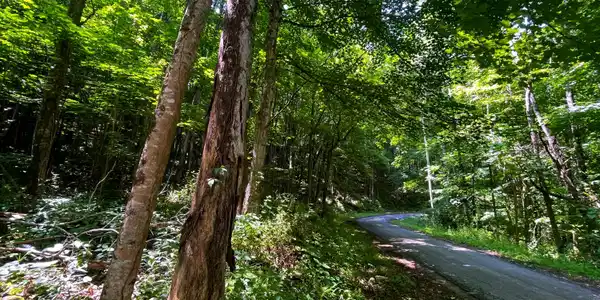 Tbd Leonard Long Rd