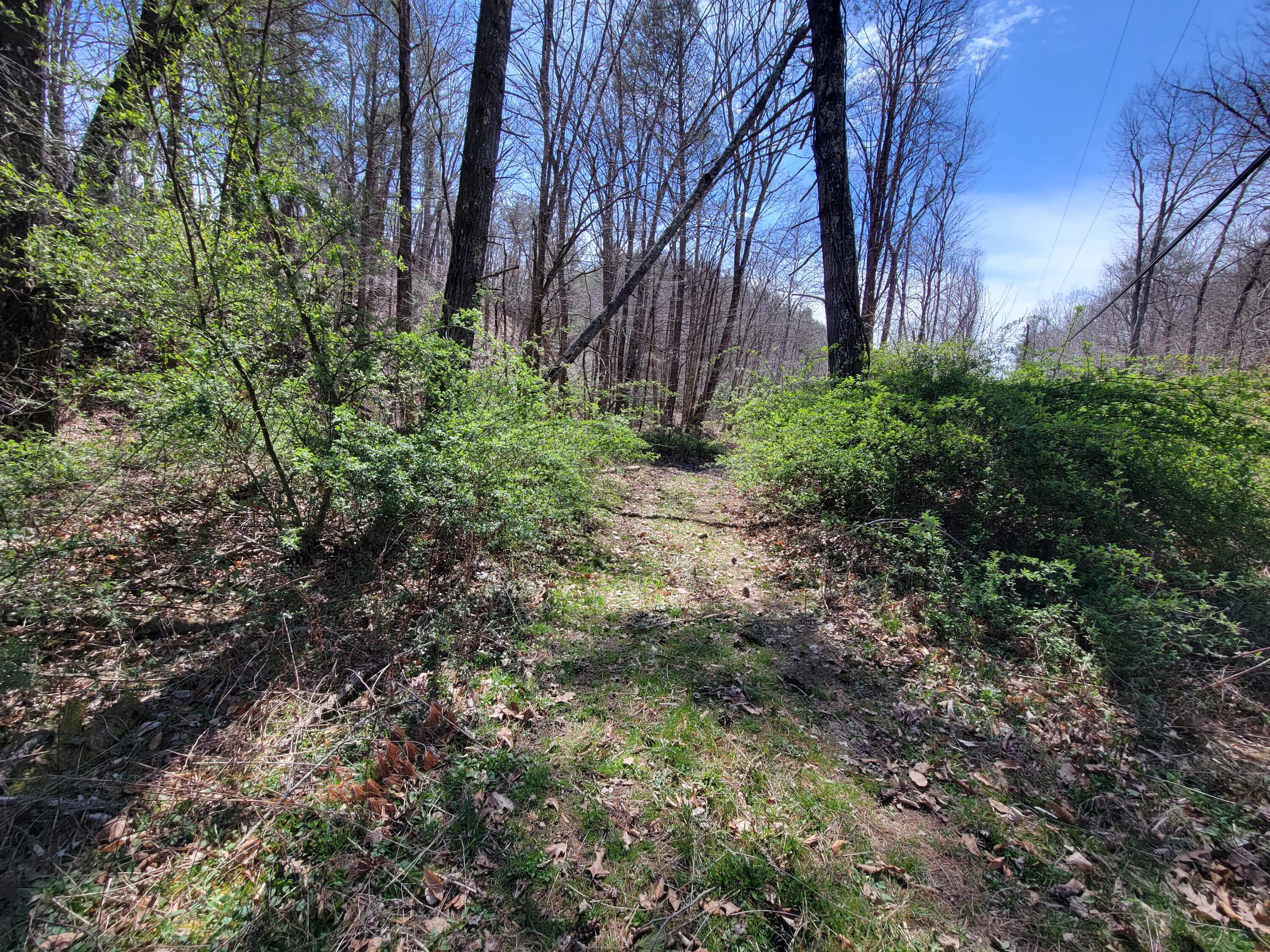 Image 2: Tuckahoe Rd