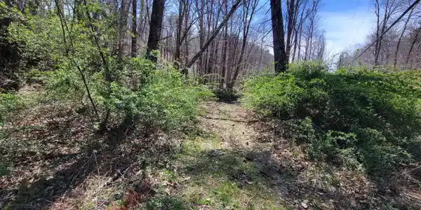 Image 2: Tuckahoe Rd