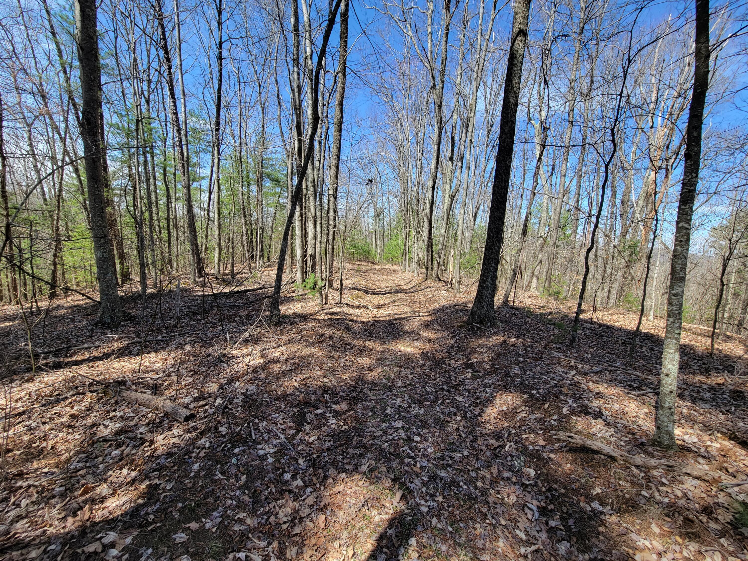 Image 3: Tuckahoe Rd