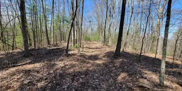 Image 3: Tuckahoe Rd